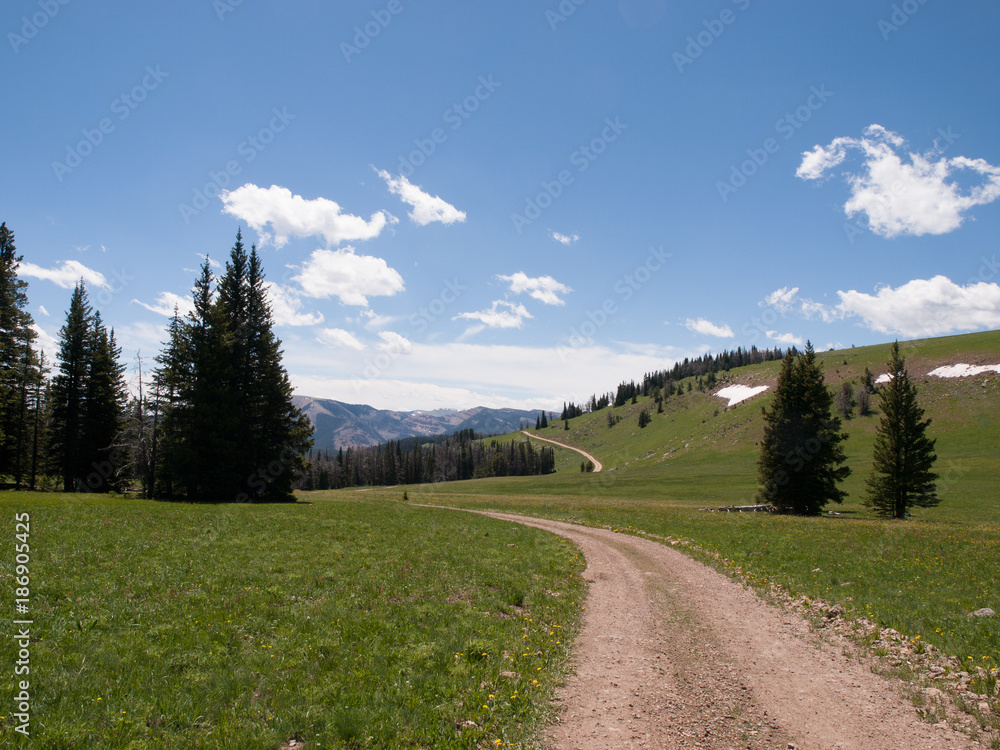 Gravelly Range Montana Road 7113