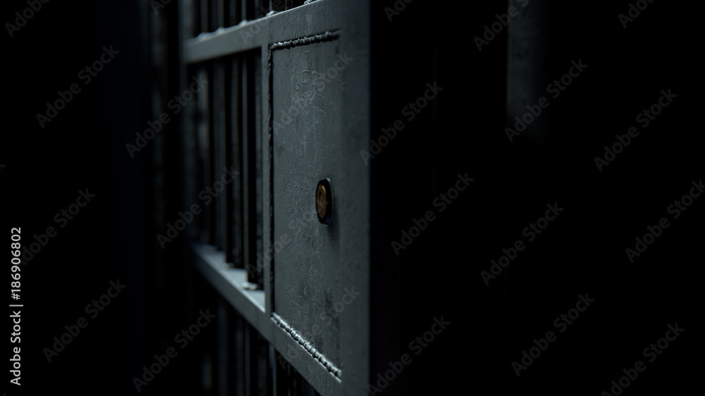 Jail Cell Door And Welded Iron Bars Jail Cell Door And Welded Iron Bars