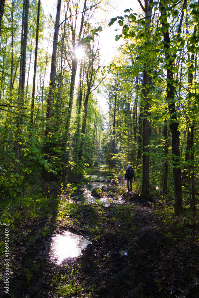 Fototapeta premium Spring road with paddle