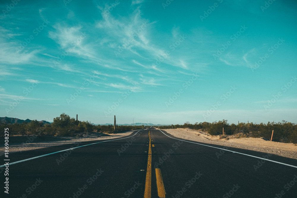 Fototapeta premium Sonoran Desert road