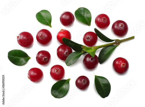 Cranberry with leaves isolated on white. With clipping path. Full depth of field. top view