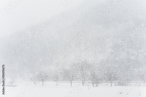 SnowVillage © Michinari Kitamura