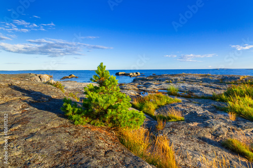 Beautiful coastline of Baltic sea, Sweden