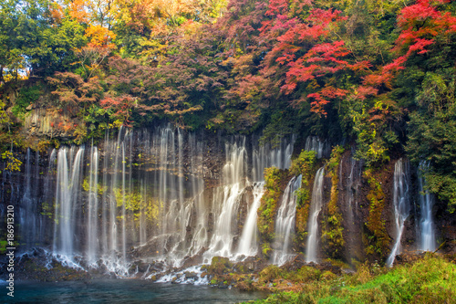 Fototapeta Naklejka Na Ścianę i Meble -  shiraito waterfall