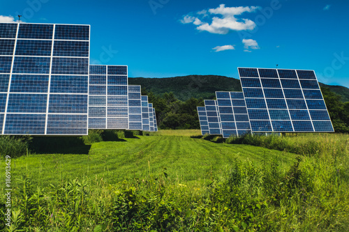 Rows of solar panels.