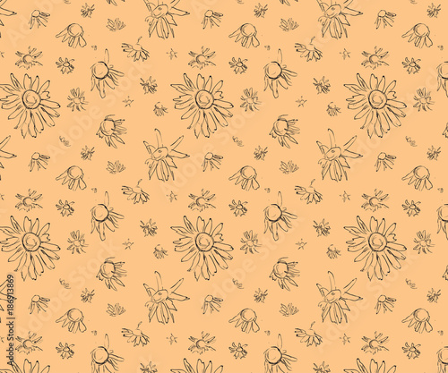 Flower Seamless pattern . Chamomile photo