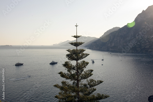 A palm tree and sea in Ravello, Italy © CoolimagesCo