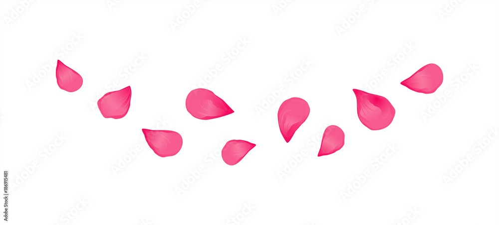Purple Pink flying petals isolated on White background. Sakura Roses petals. Vector