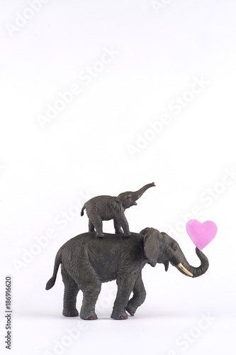 Photography elephants in love on white background with hearts and family for valentines day