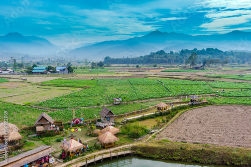 Beautiful green rice field and corn garden with blue sky and mist in the morning sunrise at watPhuket, nan, Thailand.