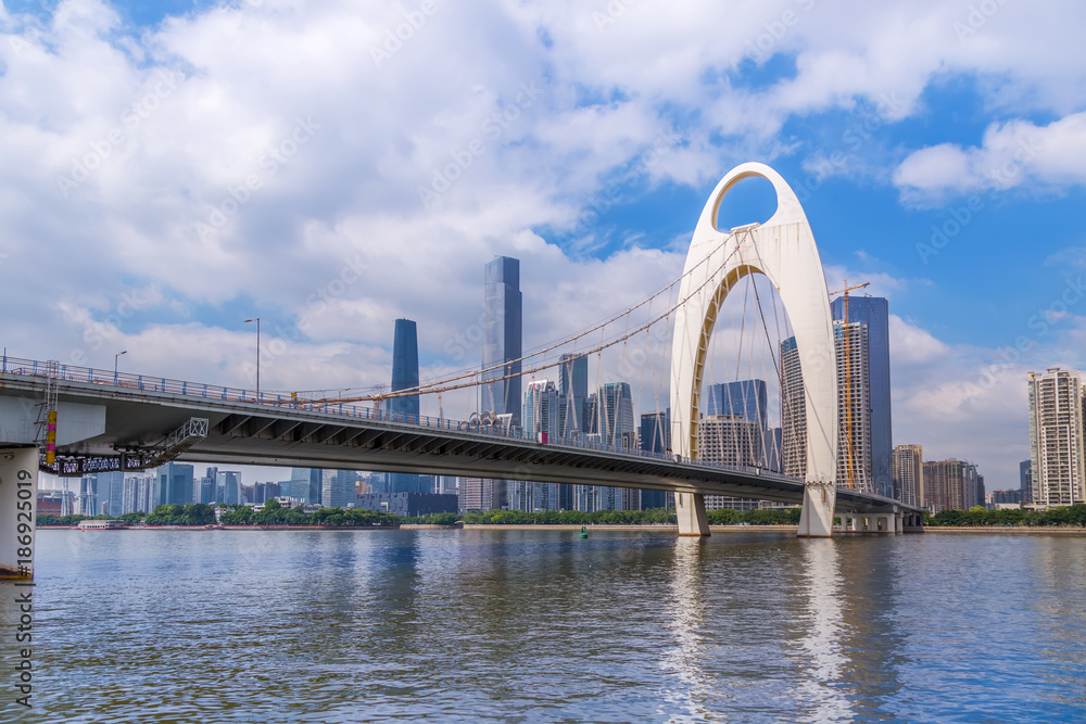 Naklejka premium Urban bridge architectural landscape