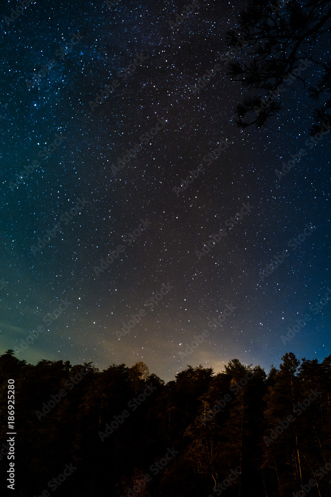 Fototapeta premium Night Sky