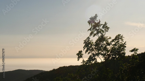 Bild auf Leinwand Panorama di mare all'Argentario in Toscana