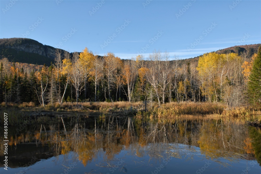 Mountain lake in late autumn colours