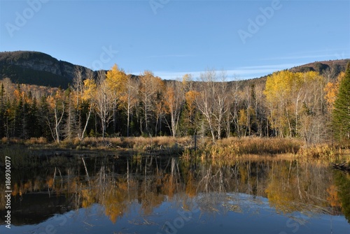 Mountain lake in late autumn colours