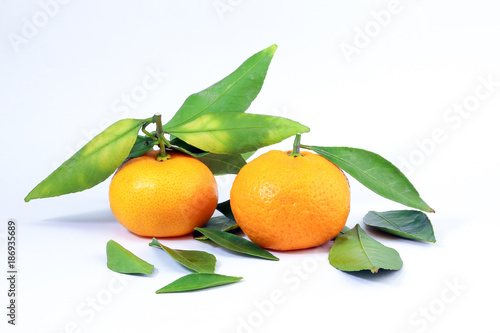 Yellow Tangerine Mandarin Orange