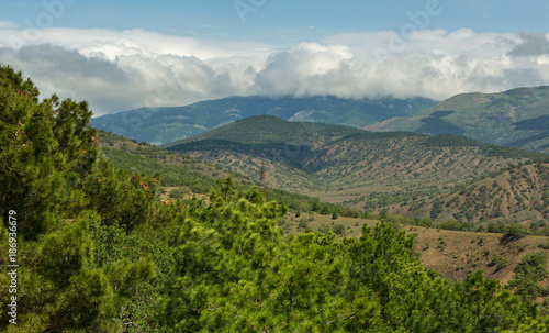 Fototapeta Naklejka Na Ścianę i Meble -  Beautiful summer landscape in mountains of Crimea.