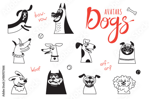 Avatar dogs. Funny lap-dog, happy pug, cheerful mongrels and other breeds.