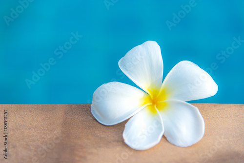 Plumeria flowers spa near swimming pool  relax and healthy care.  Healthy Concept