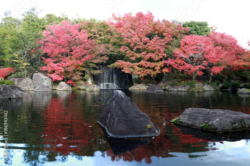 Waterfall from the autumn garden with red leaves and the rock in the water. .Colourful of leaves on the garden in autumn season with movement waterfall wildlife.