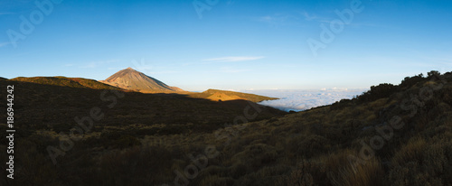 Forest above cloud inversion in desert landscape while sunrise