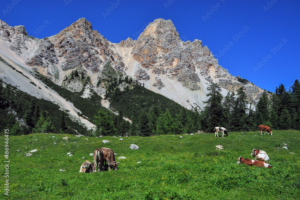 Italy Dolomites Fanes valley