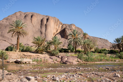 Oasis Fint Ouarzazate, Morocco trees water one of the oldest oasis in Morocco you have seen during your vacation