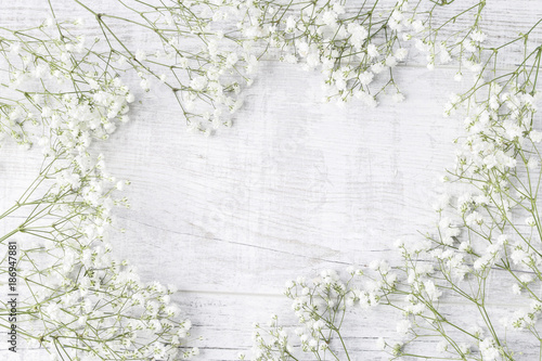 Background with tiny white flowers (gypsophila paniculata) photo