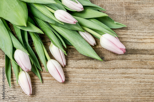 Beautiful pink tulips on wood