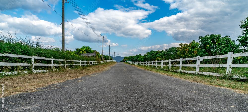 Asphalt road with white fence