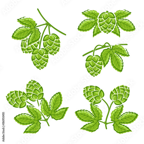 Hop set. Vector