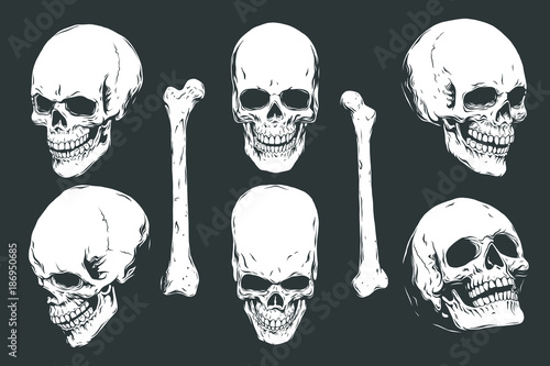 Hand drawn realistic human skulls and bones from different angles. Monochrome vector illustration on black background. 