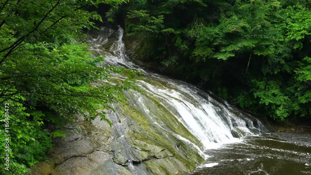 養老渓谷・粟又の滝 養老渓谷・粟又の滝