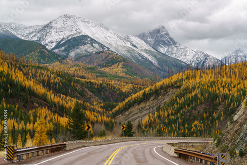 Autumn in Montana