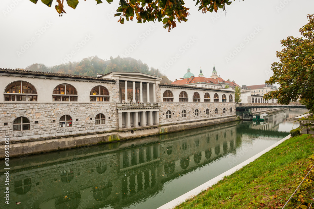 旅、ヨーロッパ、Slovenia, Ljubljana,Ljubljanica river,スロベニア、リュブリャニツア川