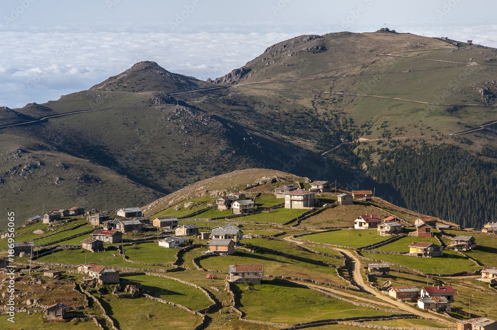 Yayla Yayla