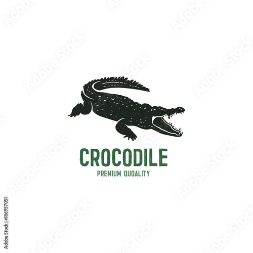 crocodile logo template. Symbol of alligator, Crocodile with text. Wild animal typography badge design. Vintage hand drawn insignia. Stock vector illustration isolated on white background