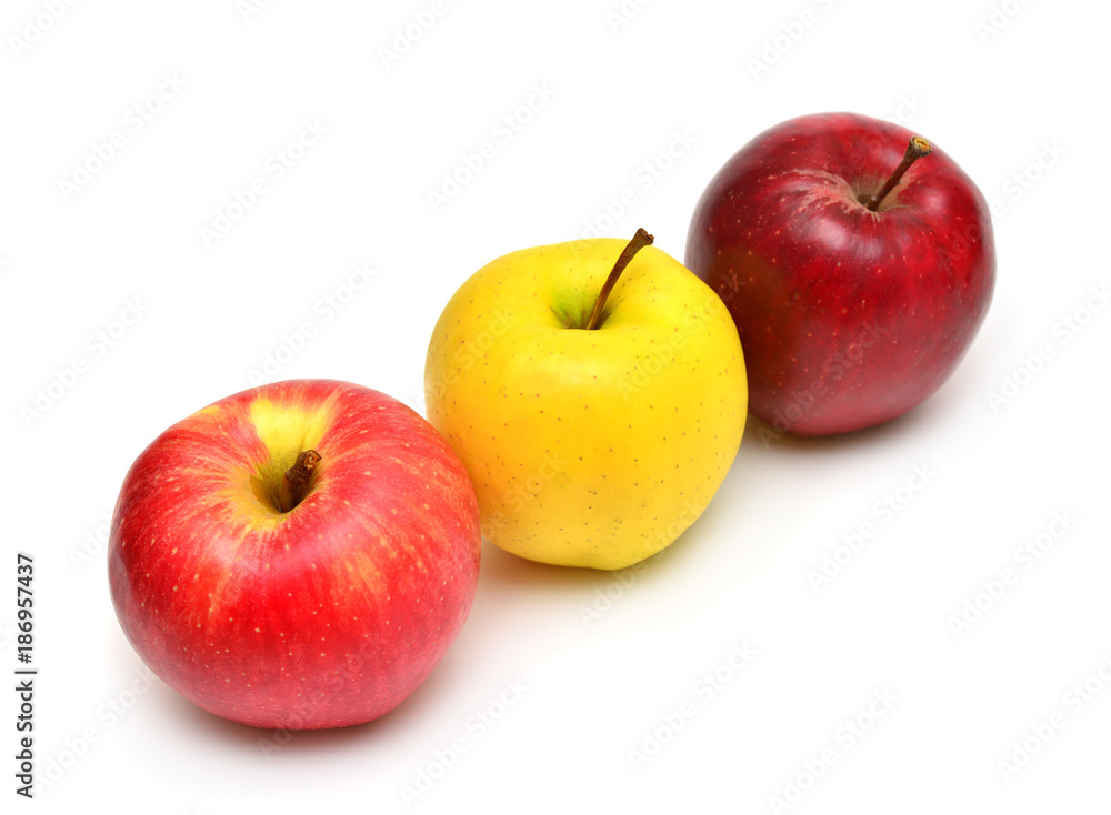Apples beautiful red and yellow varieties Champion and Golden Delicious isolated on white background Apples beautiful red and yellow varieties Champion and Golden Delicious isolated on white background