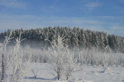 Winter auf der Schw  bischen Alb