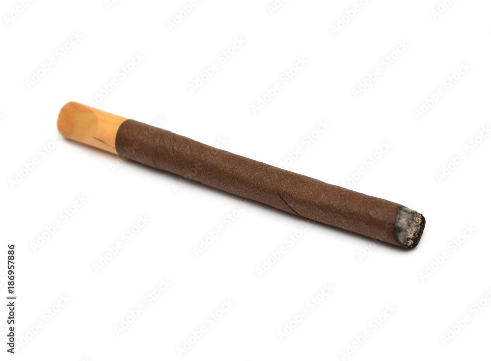 Cigar with mouthpiece isolated on white background. Flat lay, top view Cigar with mouthpiece isolated on white background. Flat lay, top view