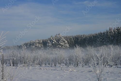 Wallpaper Mural Winter Torontodigital.ca