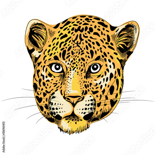 Leopard's head. Vector illustration on white background