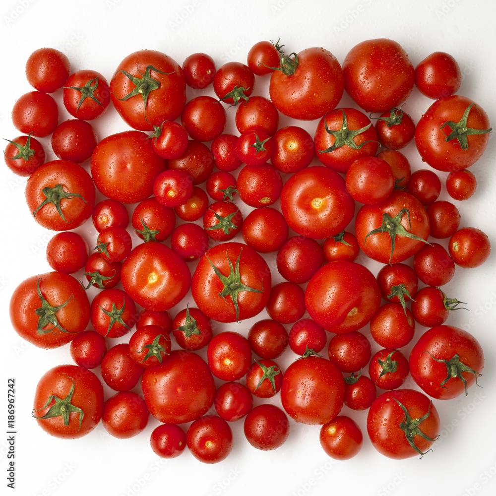 Tomatoes on white background Tomatoes on white background