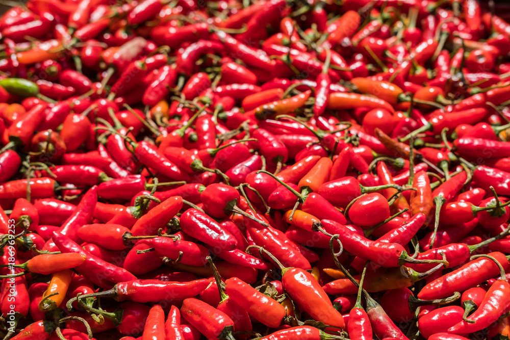 Sunny chili Sunny chili