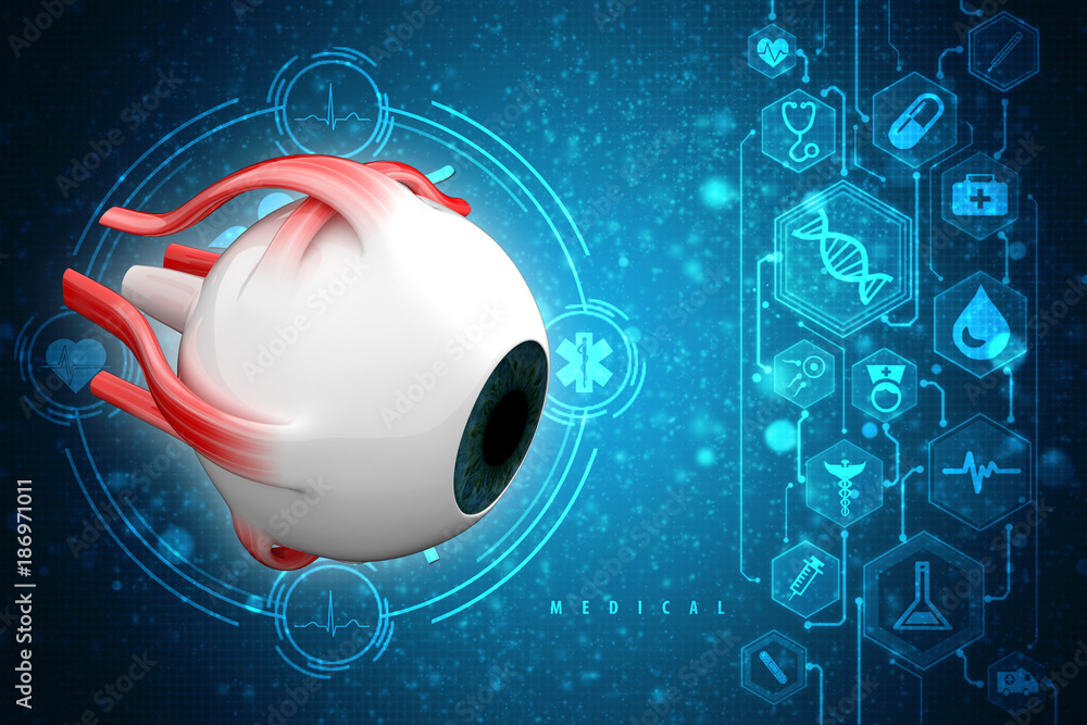 Fototapeta premium 3d rendering Human eye structure