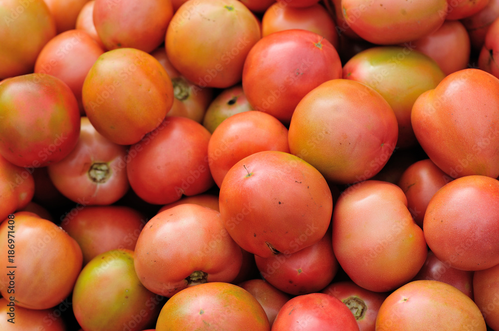 fresh tomatoes selling at vegetable market