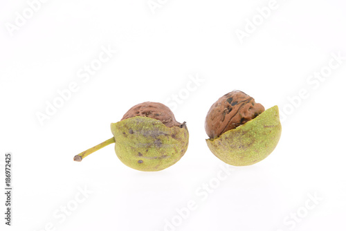 Green walnuts on a white background
