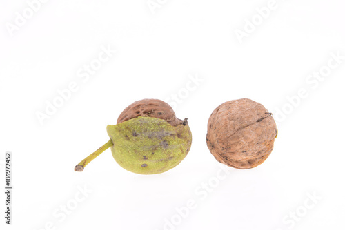 Green walnuts on a white background