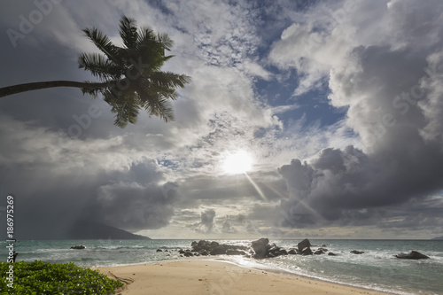 Seychelles, Indian Ocean, Mahe Island, Glacis Beach, Palm and granite rocks on beach photo