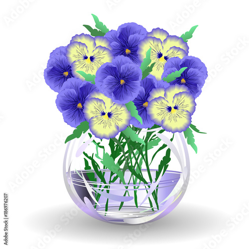 Viola flowers (pansy, viola tricolor). Hand drawn vector illustraion of blue and yellow viola flowers in glass vase on white background.